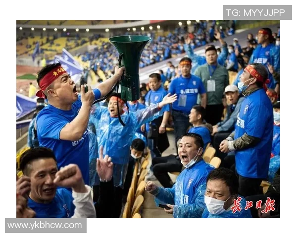 武汉排球队实力引发热议球迷观点交锋与未来展望