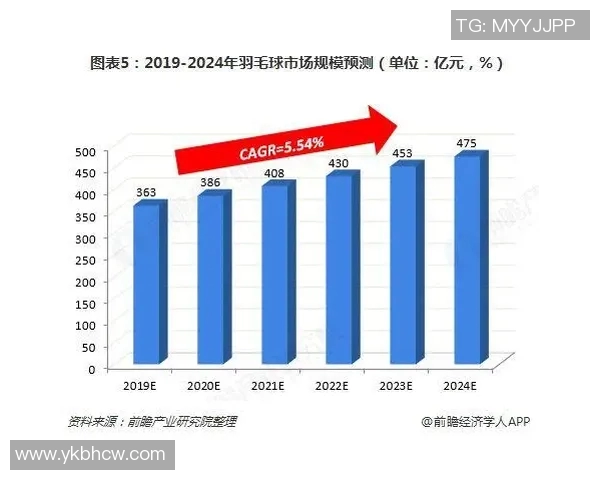 深圳羽毛球队速度表现数据分析与提升策略探讨