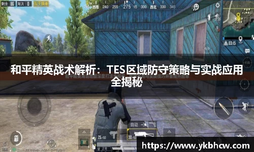 和平精英战术解析：TES区域防守策略与实战应用全揭秘