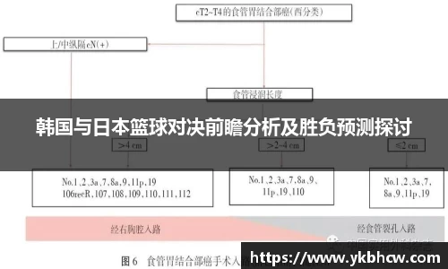 星空体育网站入口